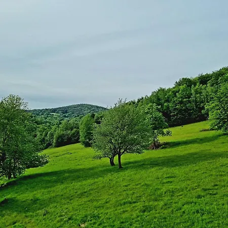 Holiday home Tu W Dolinie