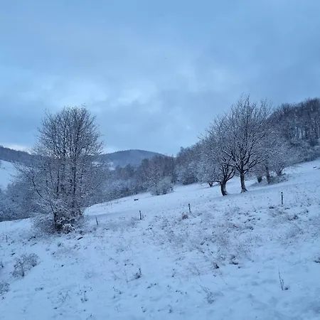 Tu W Dolinie Ropica Gorna