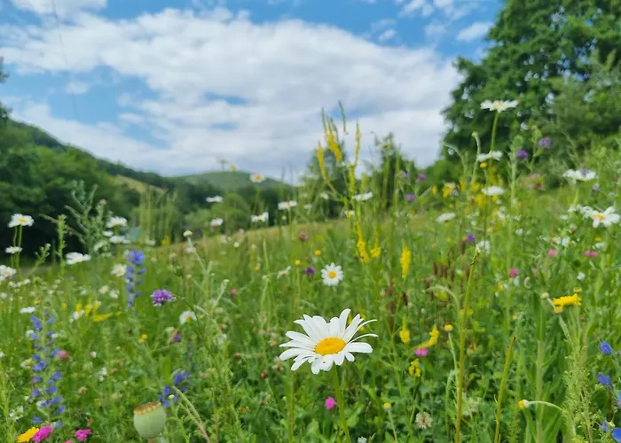 Tu W Dolinie بيت للعطل Ropica Gorna